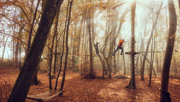 Casa de 2 quartos em Villeneuve-le-Comte com piscina e terraço - Foto 4