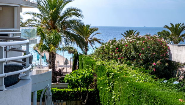 Apartment mit 2 Schlafzimmern in Cannes mit schwimmbad und terrasse - Foto 2