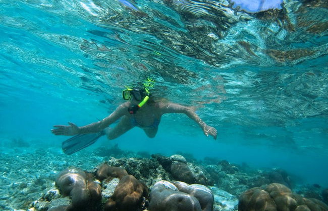 Aventura de Snorkel à tarde - Foto 3