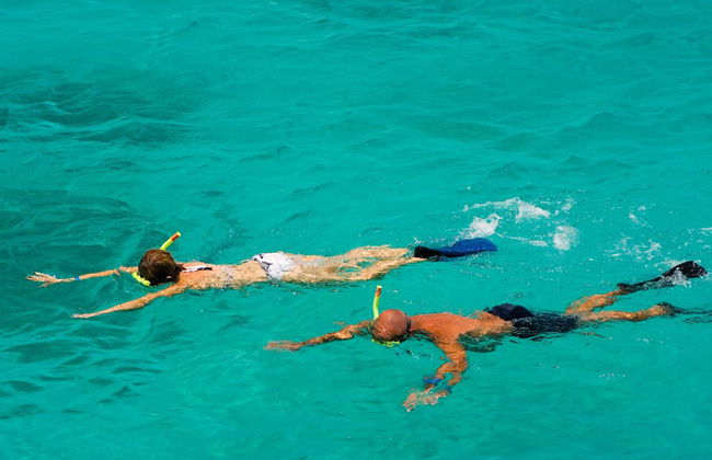 Aventura de Snorkel à tarde - Foto 2