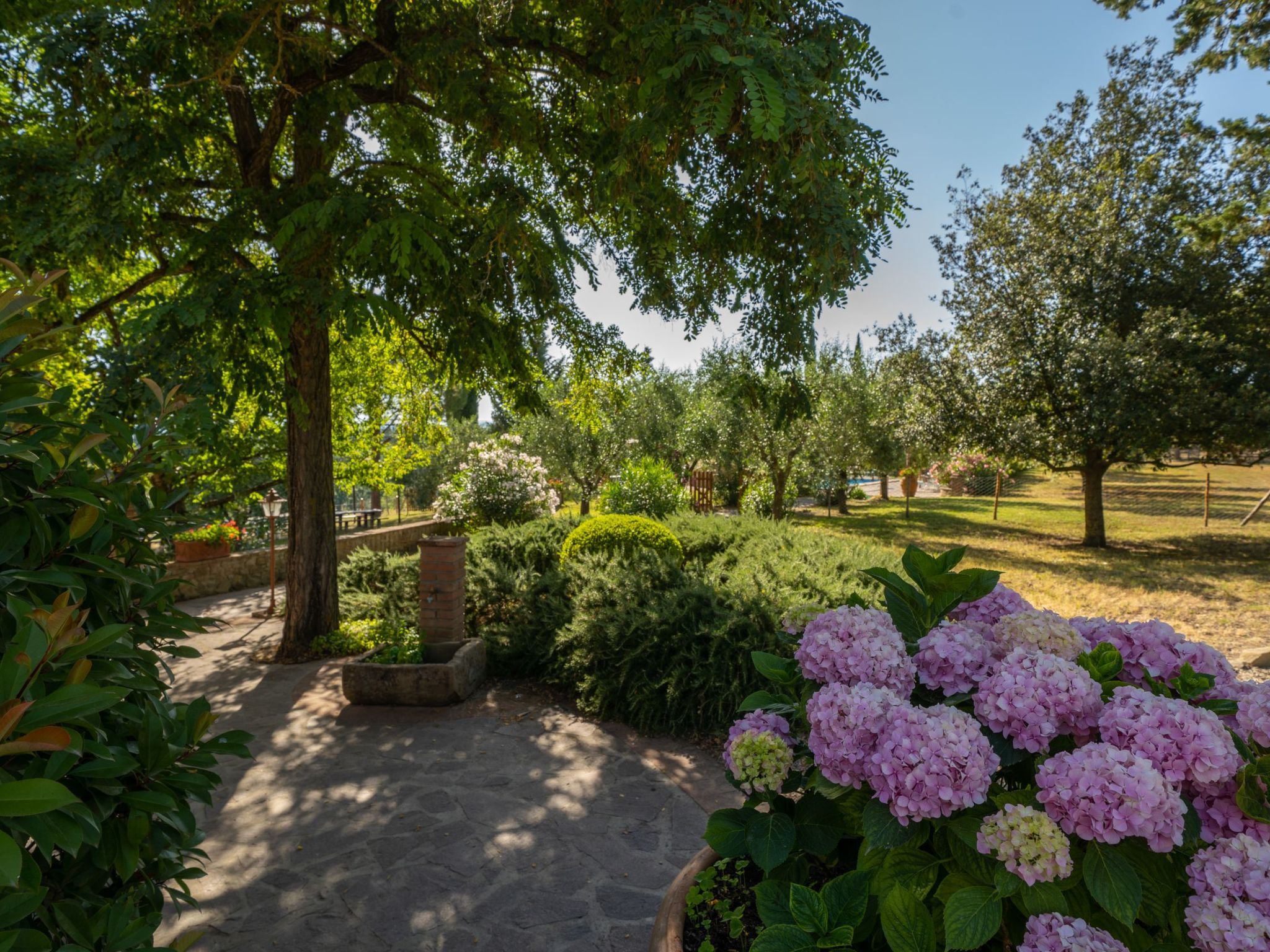 Photo 21 - 1 bedroom Apartment in Peccioli with swimming pool and garden