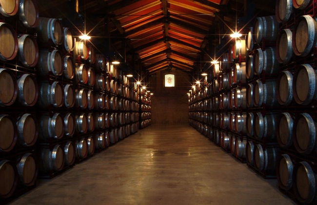 Visita Bodegas Bilbaínas - Foto 4