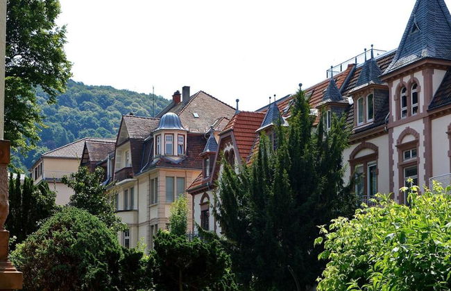 Escursione giornaliera a Heidelberg - Tour privato di un'intera giornata - Foto 7