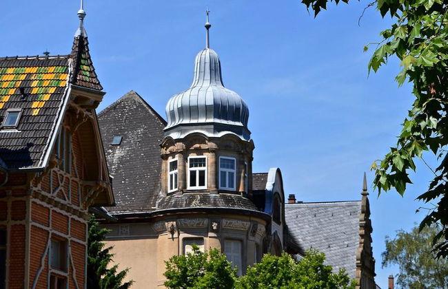 Escursione giornaliera a Heidelberg - Tour privato di un'intera giornata - Foto 8