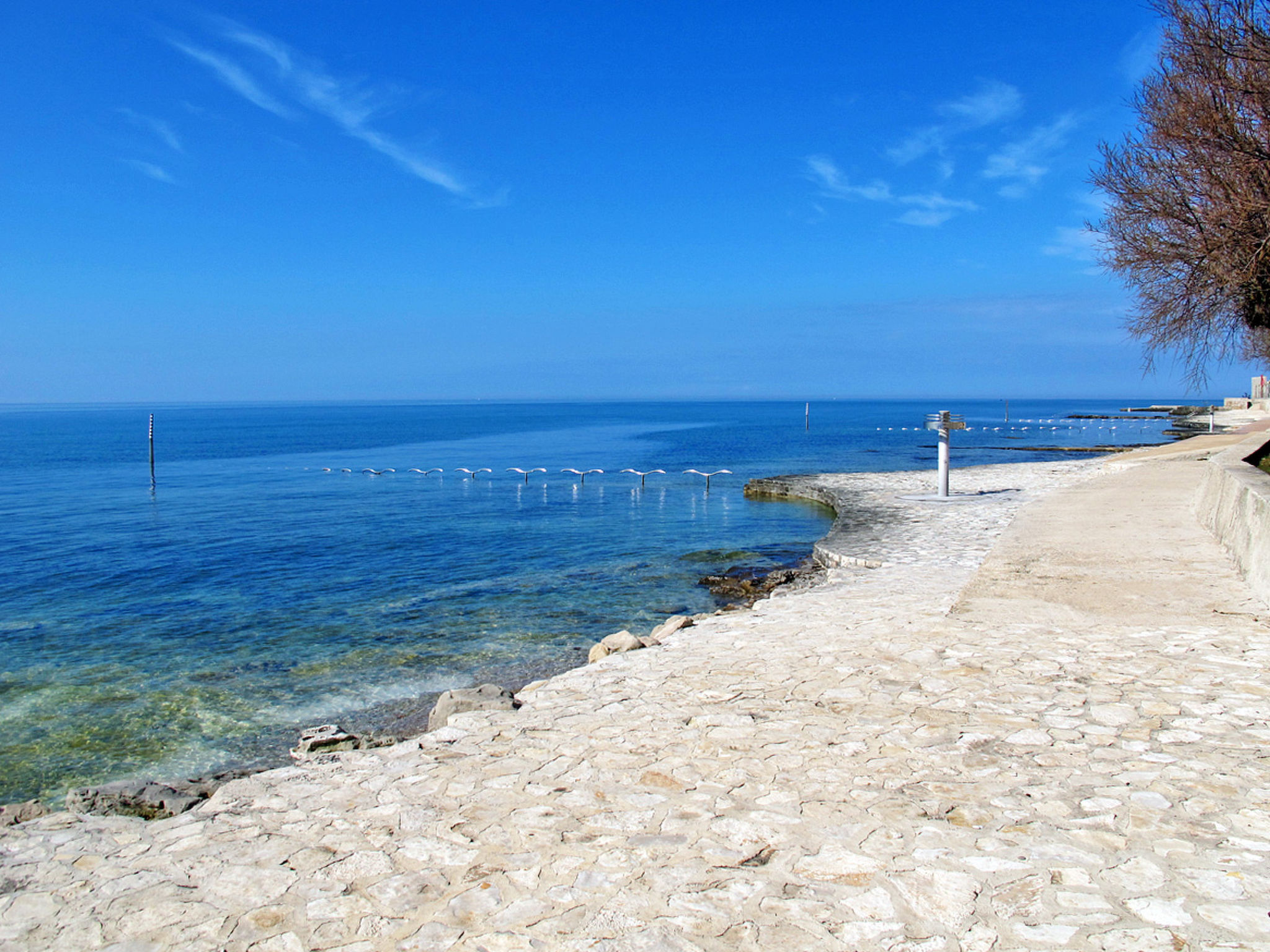 Photo 39 - Maison de 3 chambres à Brtonigla avec piscine privée et vues à la mer