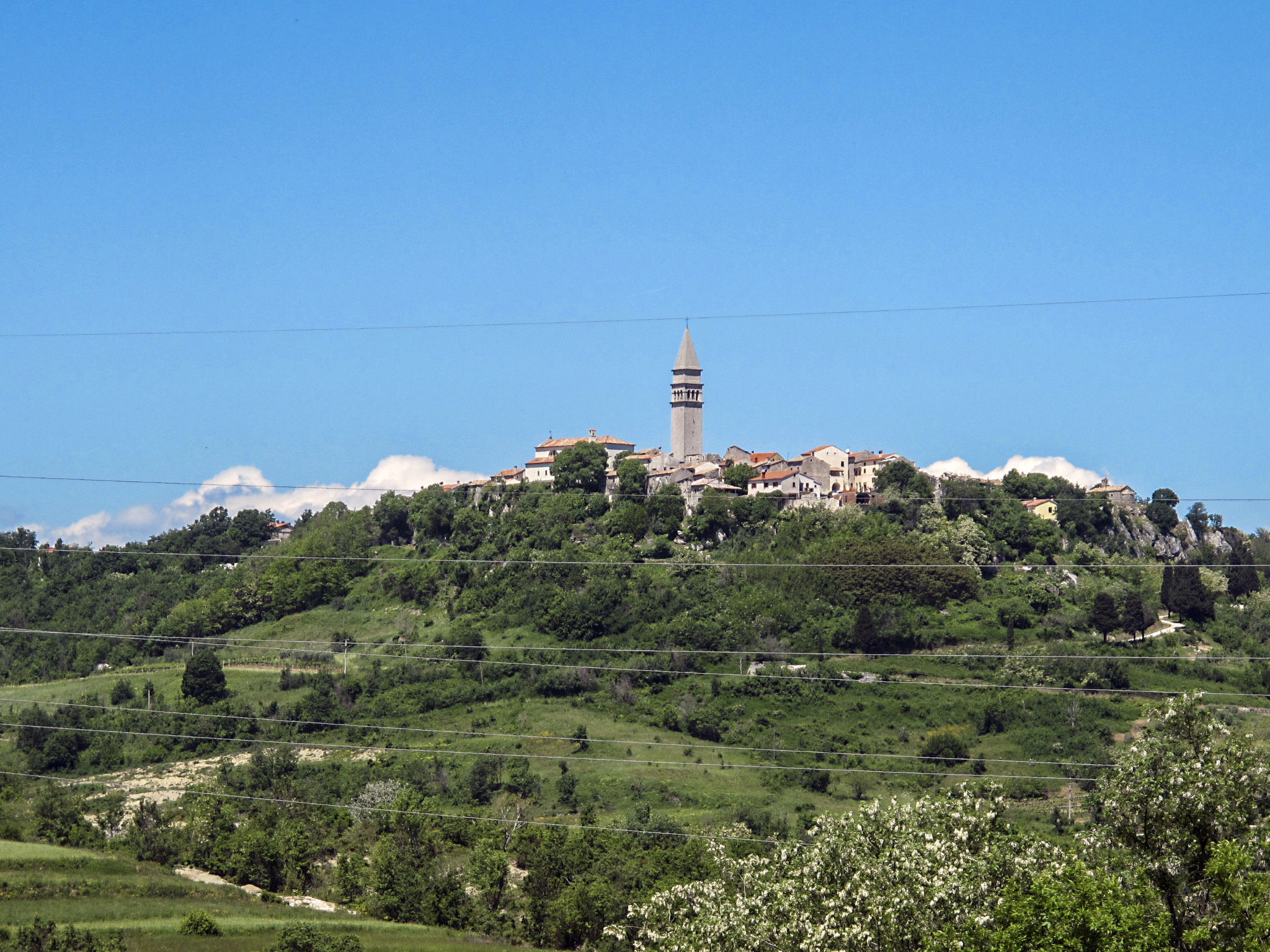 Photo 25 - 2 bedroom House in Pićan with private pool and garden