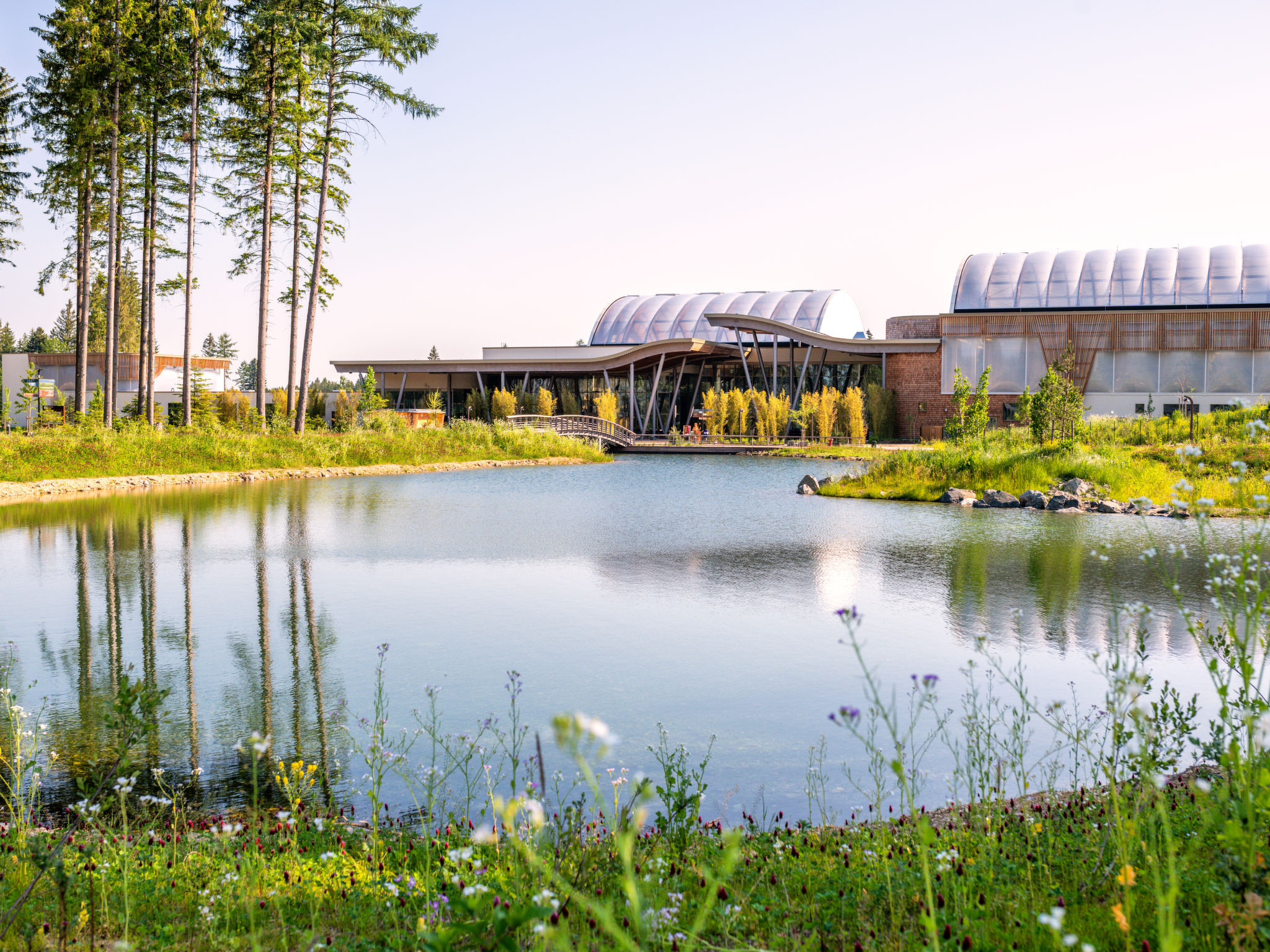 Foto 17 - Haus mit 3 Schlafzimmern in Leutkirch im Allgäu mit schwimmbad und garten