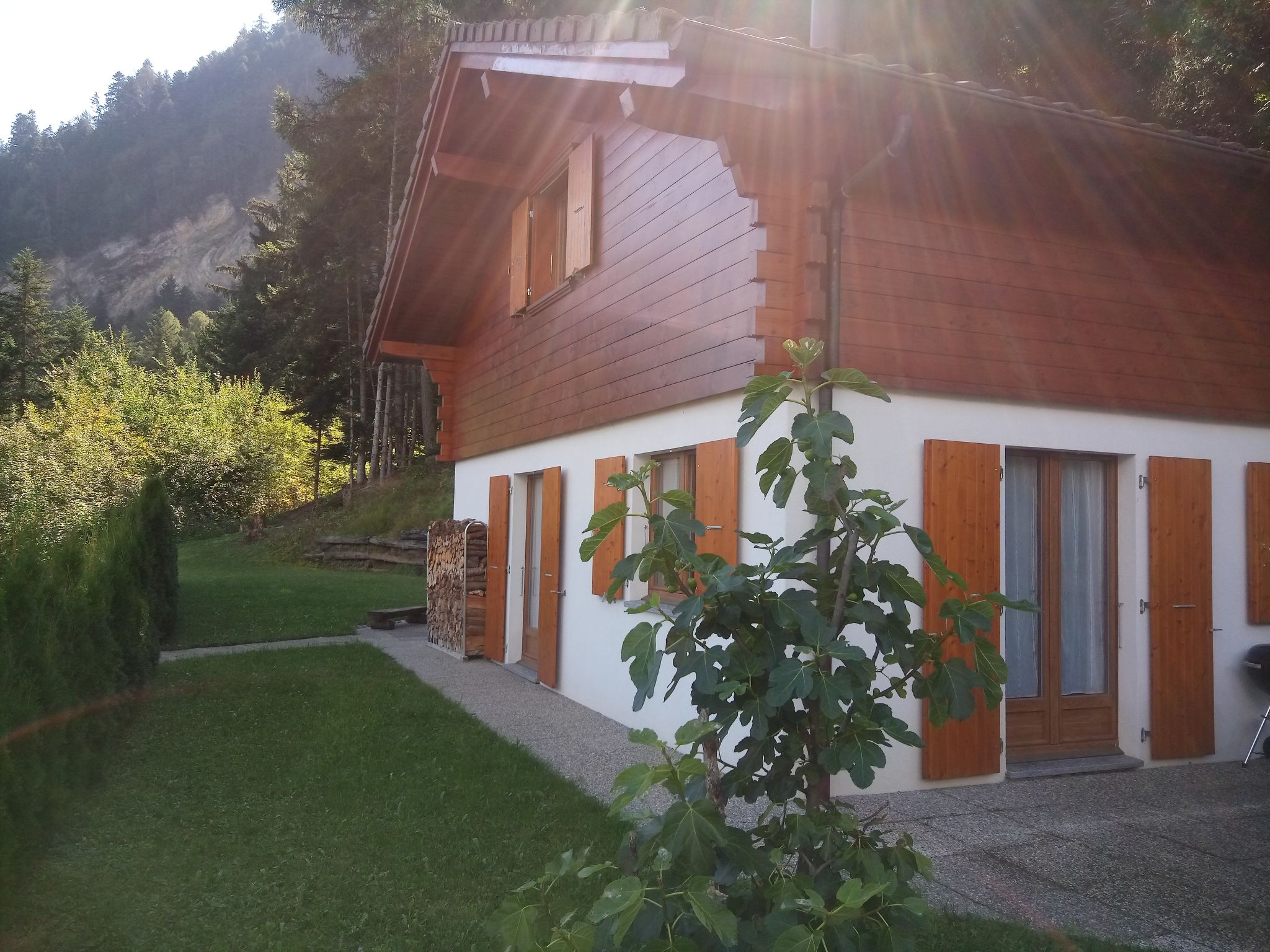 Foto 10 - Casa de 3 quartos em Chamoson com terraço e vista para a montanha