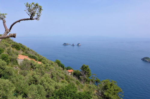 Foto 41 - Casa de 2 habitaciones en Massa Lubrense con piscina privada y vistas al mar