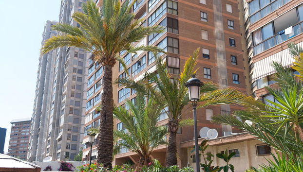 Apart. Gemelos 2- Beninter - Foto 3