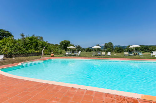 Foto 26 - Apartamento de 1 habitación en Castelnuovo di Val di Cecina con piscina y jardín