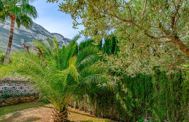 Haus mit 4 Schlafzimmern in Dénia mit privater pool und garten - Foto 28