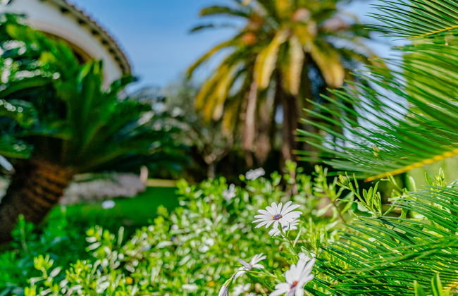 Haus mit 4 Schlafzimmern in Dénia mit privater pool und garten - Foto 21