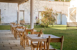 Photo 3 - Masseria Rauccio