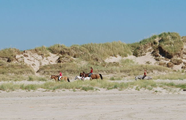 Apartamento de 3 quartos em Rømø com piscina e terraço - Foto 8