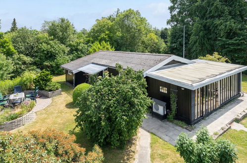 Photo 20 - Maison de 2 chambres à Jægerspris avec terrasse