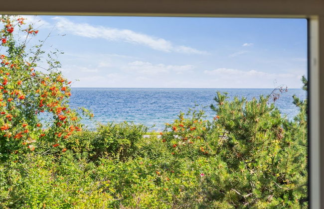 Haus mit 3 Schlafzimmern in Sjællands Odde mit terrasse - Foto 12