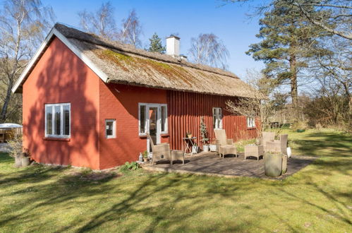 Foto 19 - Casa con 3 camere da letto a Jægerspris con terrazza e vasca idromassaggio