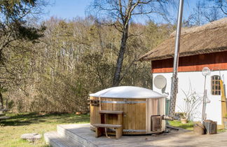 Photo 3 - Maison de 3 chambres à Jægerspris avec terrasse et bain à remous