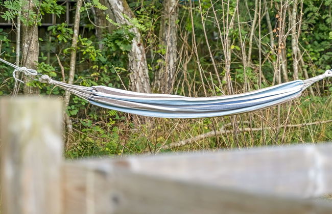 "Tina" - from the sea - Foto 6