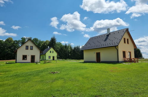 Foto 19 - Casa de 1 quarto em Stráž nad Nežárkou com jardim e terraço