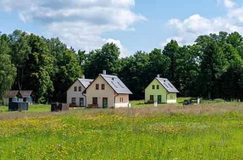 Photo 23 - Maison de 1 chambre à Stráž nad Nežárkou avec jardin et terrasse