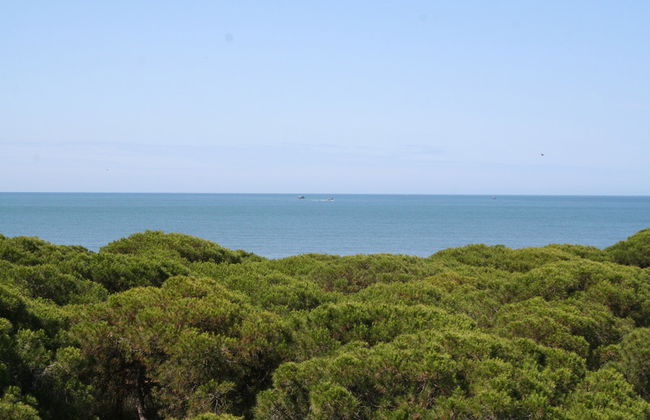 On Family Islantilla - Foto 39