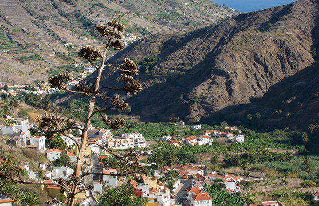 Suites Los Telares - Foto 5