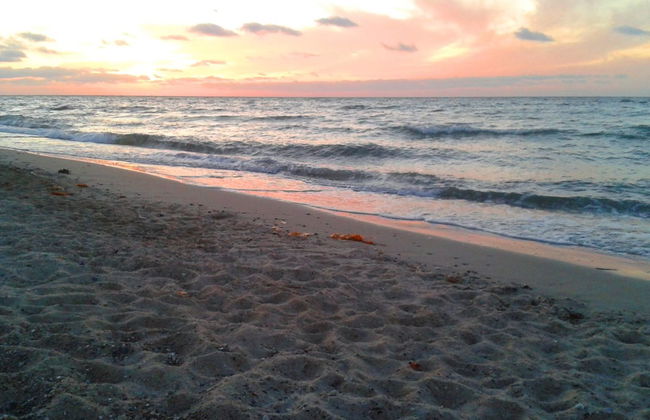 "Teodora" - 450m from the sea - Foto 5