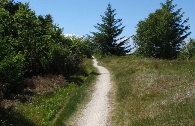 "Teodora" - 450m from the sea - Foto 4