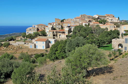 Foto 12 - Appartamento con 1 camera da letto a L'Île-Rousse con piscina e vista mare