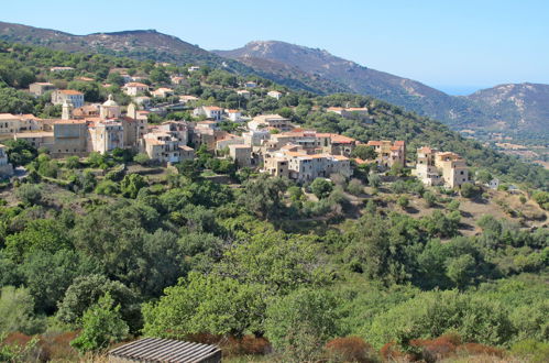 Foto 31 - Appartamento a Calvi con piscina e vista mare