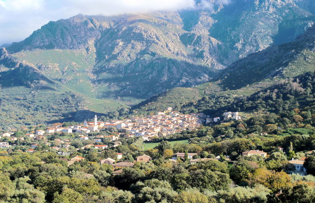 Apartment mit 2 Schlafzimmern in Calvi mit schwimmbad und garten - Foto 18