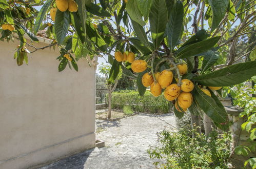 Foto 25 - Apartamento de 3 quartos em La Cadière-d'Azur com jardim e terraço