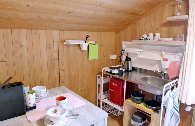 Appartamento con 1 camera da letto a Lauterbrunnen con giardino - Foto 4