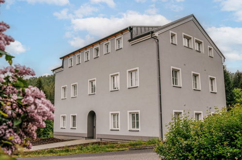 Foto 23 - Apartamento de 2 habitaciones en Kořenov