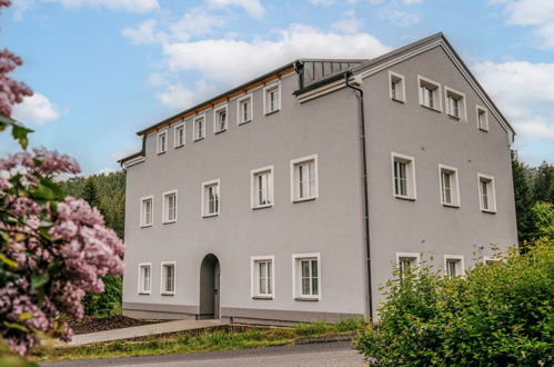 Photo 23 - 2 bedroom Apartment in Kořenov with garden