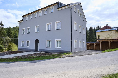 Photo 19 - Appartement de 2 chambres à Kořenov avec jardin