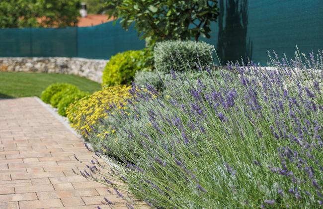 Haus mit 4 Schlafzimmern in Žminj mit privater pool und garten - Foto 28