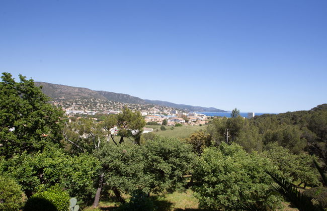 Appartamento con 2 camere da letto a Bormes-les-Mimosas con piscina e giardino - Foto 16