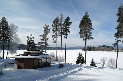 Foto 32 - Apartamento de 1 habitación en Frymburk con terraza y vistas a la montaña