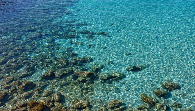 Cala Morlanda Estudios - Foto 5