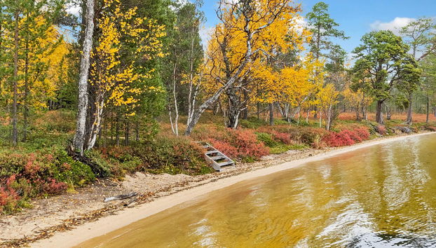 Haus mit 2 Schlafzimmern in Inari - Foto 4