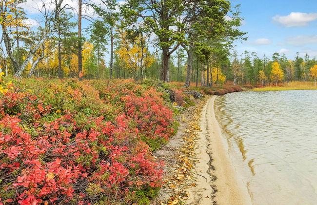 Haus mit 2 Schlafzimmern in Inari - Foto 30