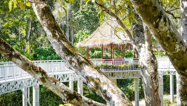 PES Canopy Walkway Program - Photo 4
