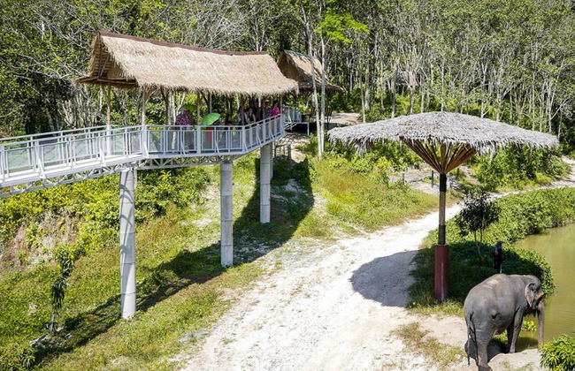 PES Canopy Walkway Program - Photo 3
