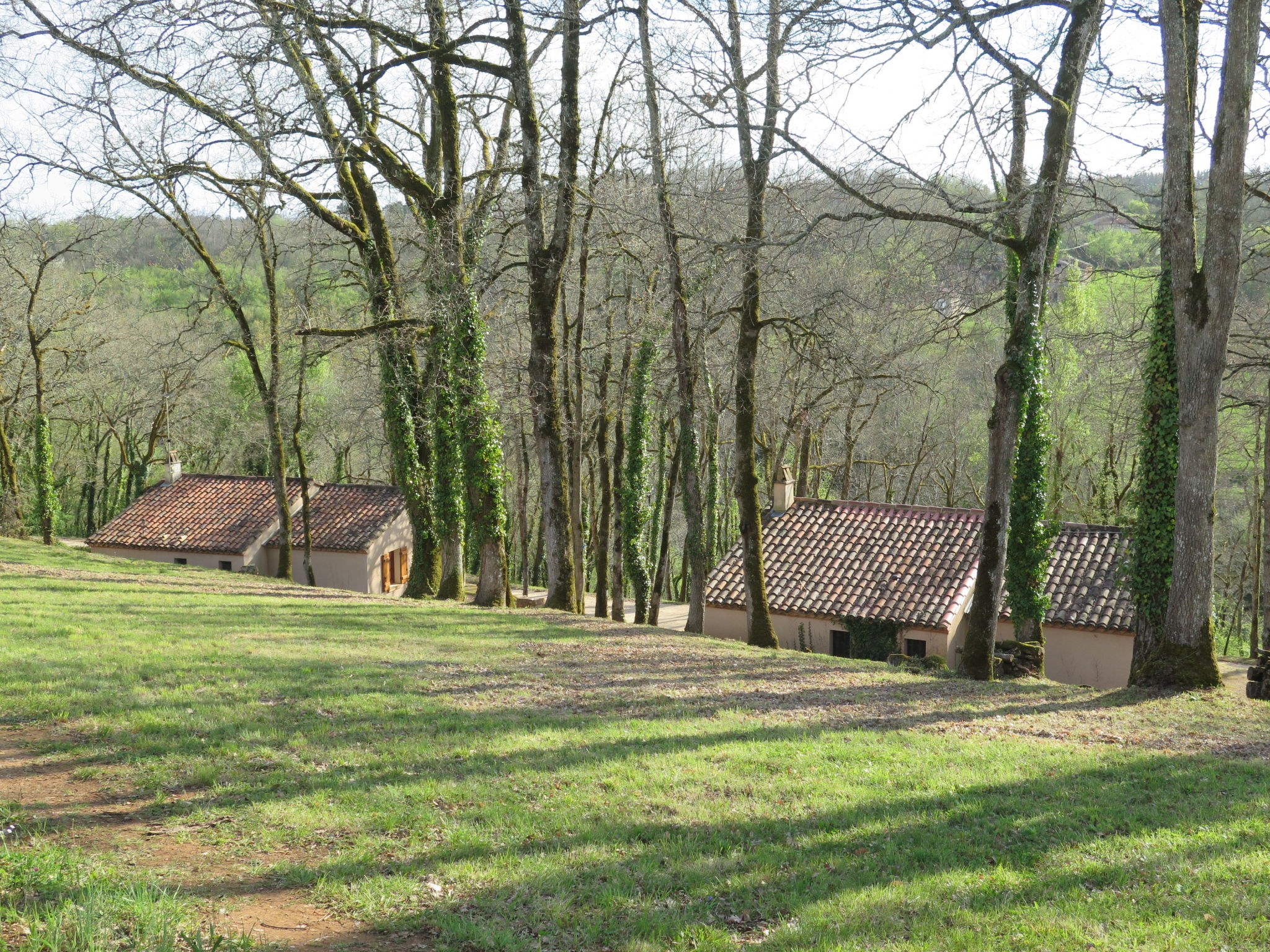 Foto 19 - Casa de 2 quartos em Blanquefort-sur-Briolance com piscina privada e terraço