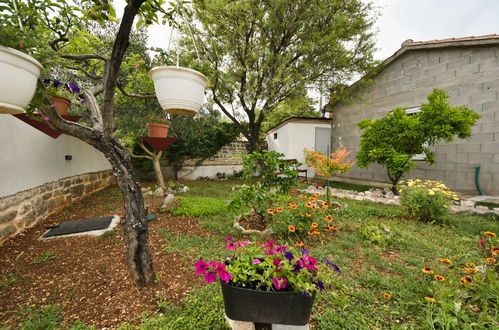 Foto 22 - Casa de 2 quartos em Novigrad com terraço