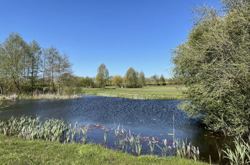 Photo 24 - 1 bedroom Apartment in Splietsdorf with garden and terrace