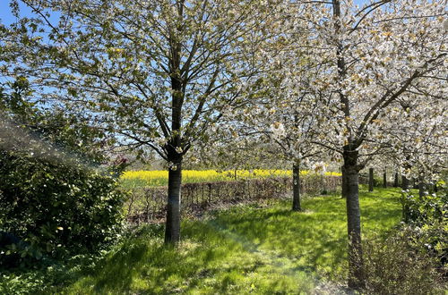 Foto 16 - Appartamento con 1 camera da letto a Splietsdorf con giardino e terrazza